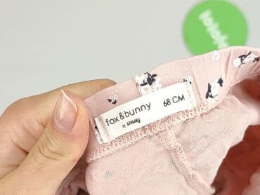 rajstopy z napisami: Leggings, Fox&Bunny, 3-6 months, condition - Perfect — 4