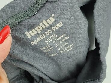 spodnie woskowane allegro: Sweatpants, Lupilu, 0-1 month, condition - Perfect — 4