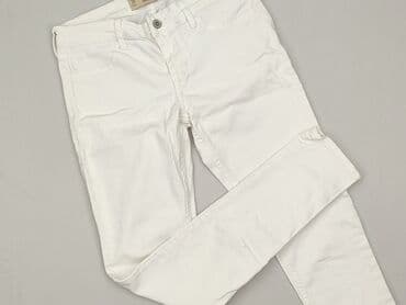Hollister, Jeans for women, size L (EU 40)