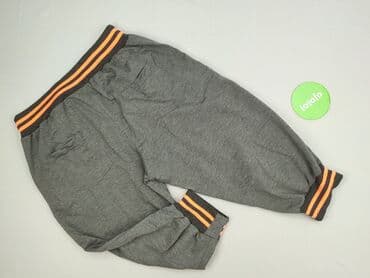 spodnie dresowe peak performance: Spodnie 3/4 damskie, 3XL — 3