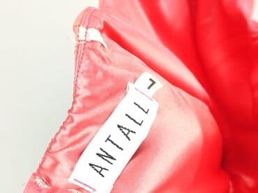 sukienki butik latika: ANTALL, Women`s dress, L — 5