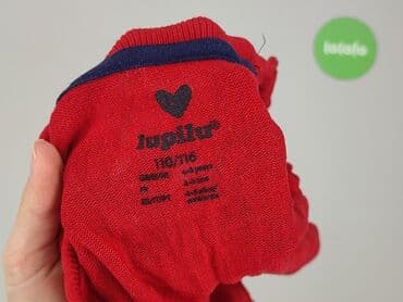 skórzana kurtka i futrzana kamizelka: Sweatshirt, Lupilu, 5-6 years, 110-116 cm, condition - Very good — 4