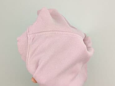 t shirty różowa pantera: 4F, Світшот жіночий, S — 6