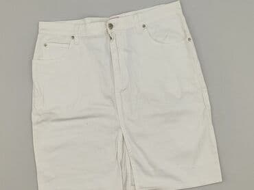 spódnice jeansowe massimo dutti: Spódnica damska — 1