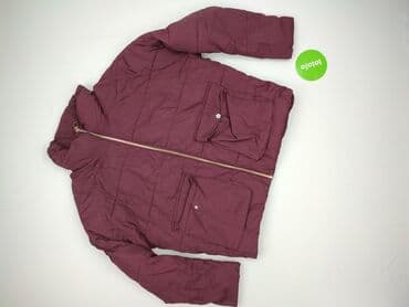 tatuum sweter mis uszatek: Sinsay, Kurtka zimowa damska, L — 2