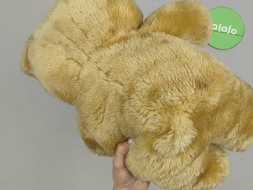 koszulka z labradorem: М'яка іграшка Плюшевий ведмедик, стан - Дуже гарний — 4
