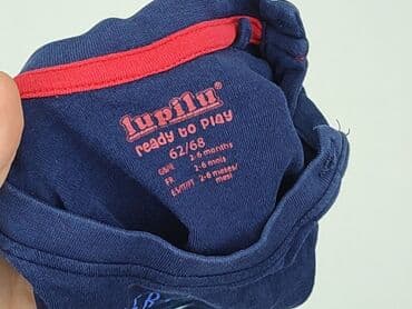 koszulka apator toruń: T-shirt, Lupilu, 3-6 months, condition - Very good — 4