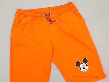 t shirty lime: Szorty damskie, rozmiar 3XL — 1