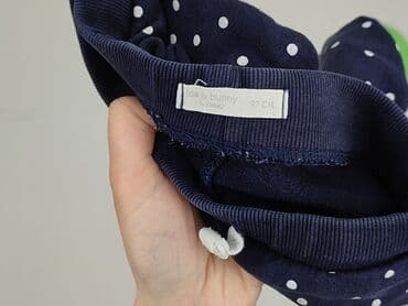 body z kubusiem puchatkiem: Sweatpants, Fox&Bunny, 1.5-2 years, 92, condition - Very good — 4