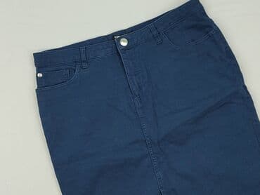 niebieska spódnice plisowane: Spódnica damska, XL — 1