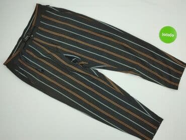 przezroczyste spodnie zara: Zara, Spodnie dla mężczyzn, rozmiar L — 2