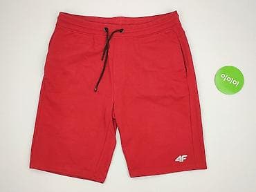 simple koszula: 4F, Szorty dla mężczyzn, rozmiar L — 2