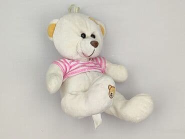 Mascots: Mascot Teddy bear, condition - Very good — 2