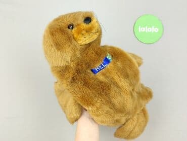 kapcie w ccc: Mascot condition - Perfect — 4