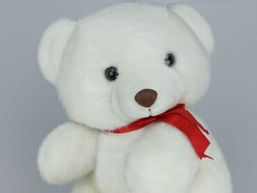 Mascots: Mascot Teddy bear, condition - Perfect