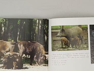 Books, Audio & Video formats: Book, genre - Educational, condition - Perfect — 3