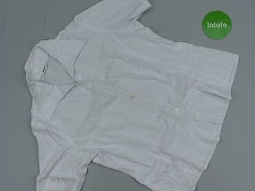 biale bluzki z kolnierzykiem: Bluzka damska, rozmiar 2XL — 2