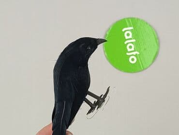 Dekoracje do domu: Figurkа, stan - Idealny — 4