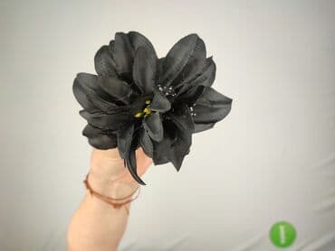 torba mohito: Hair clip, Female, condition - Perfect — 4