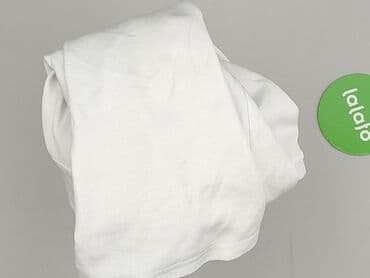 kocie koszulki: T-shirt damski, rozmiar S — 5