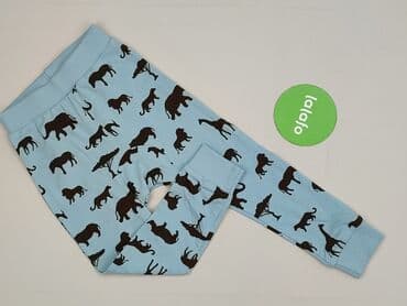 spodnie goodies woskowane: Sweatpants, Pinokio, 3-4 years, 104, condition - Perfect — 2