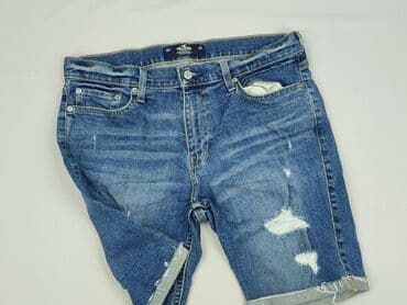 Hollister, Szorty dla mężczyzn, L