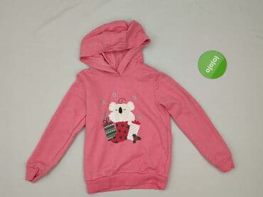 muminki koszulka: Bluza, Lupilu, 5-6 lat, 110-116 cm, stan - Bardzo dobry — 2