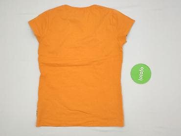 mosquito: Mosquito, T-shirt damski, rozmiar L — 3