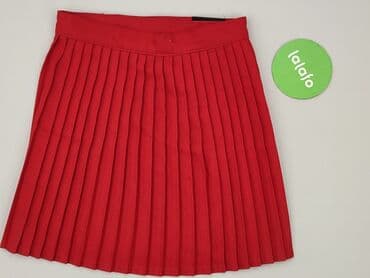 czerwone spódnice plisowane: Spódnica damska, rozmiar 7XL — 4