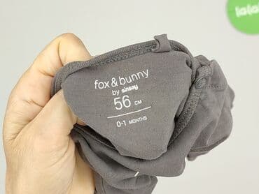 kombinezon softshell lidl: Rampers, Fox&Bunny, 0-1 miesięcy, stan - Bardzo dobry — 4
