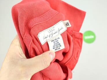 podkoszulek pod koszulę: T-shirt, H&M, 5-6 years, 110-116 cm, condition - Very good — 4