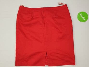 spodenko spódniczka plus size: Spódnica damska, rozmiar 3XL — 3