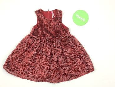 txm rajstopy: Dress, Orchestra, 9-12 months, condition - Perfect — 2