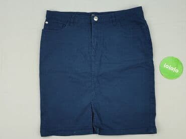 niebieska spódnice plisowane: Spódnica damska, XL — 2