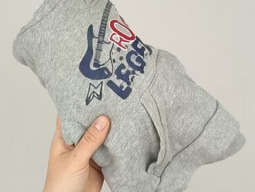 lidl sukienki dla dziewczynek: Sweatshirt, Lupilu, 1.5-2 years, 86-92 cm, condition - Very good — 5