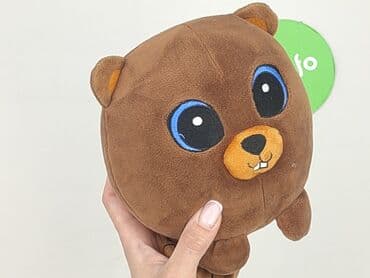 koszulka z mopsem: Mascot condition - Very good — 4