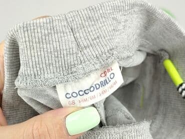 c: Szorty, Coccodrillo, 3-6 miesięcy, stan - Idealny — 4