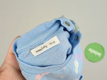 michael kors kombinezon niemowlęcy: Sweatshirt, Sinsay, 6-9 months, condition - Very good — 5