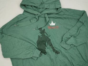 Disney, Women`s hoodie, size L (EU 40)
