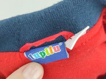 sukienki z weluru i aksamitu allegro: Children's down jacket Lupilu, 5-6 years, Synthetic fabric, condition - Perfect — 5
