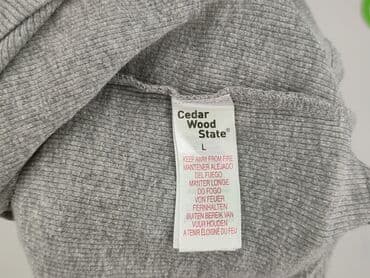cropp marynarki męskie: Long-sleeved top for men, L (EU 40), Cedar Wood State, condition - Good — 5