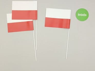 koszulka paliona allegro: Inne artykuły dla domu — 3