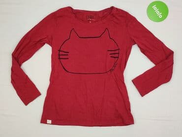 cropp koszula w koty: Carry, Bluzka damska, XS — 2