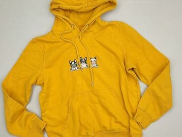 koszulka z napisem dzik: Hoodie for men, M (EU 38), House, condition - Good — 1