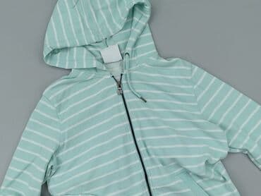 tommy hilfiger t shirty basic: TOG24, Women`s hoodie, size S (EU 36) — 1