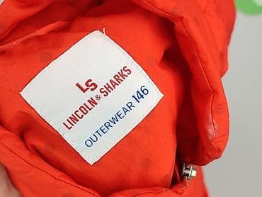 zara botki: Kurtka przejściowa, Lincoln & Sharks, 11 lat, 140-146 cm, stan - Bardzo dobry — 4