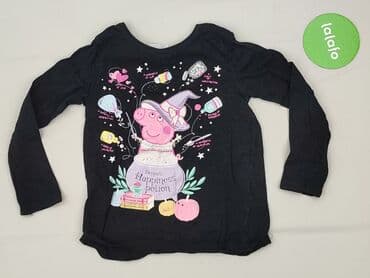 podkoszulki z napisami: Sweatshirt, 5-6 years, 110-116 cm, condition - Very good — 2