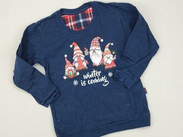 allegro sweterki azurowe: Sweatshirt, 3-4 years, 98-104 cm, condition - Good — 1