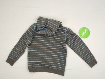 bielizna termoaktywna smartwool: Sweatshirt, 5-6 years, 110-116 cm, condition - Very good — 3