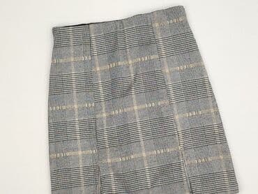 Women`s skirt, 2XS